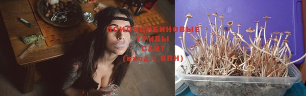 марки nbome Алексеевка
