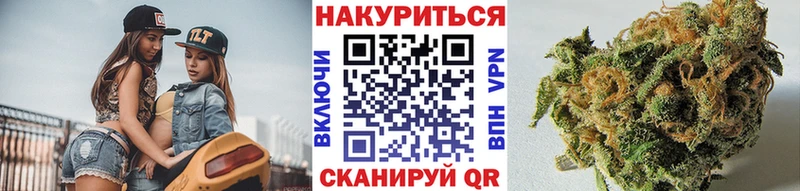 Шишки марихуана гибрид  Лесной 